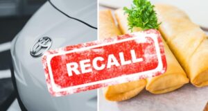 Hubo varios retiros de alimentos, automóviles y productos en la semana del 6 al 12 de octubre. que puede haber perdido. Canva